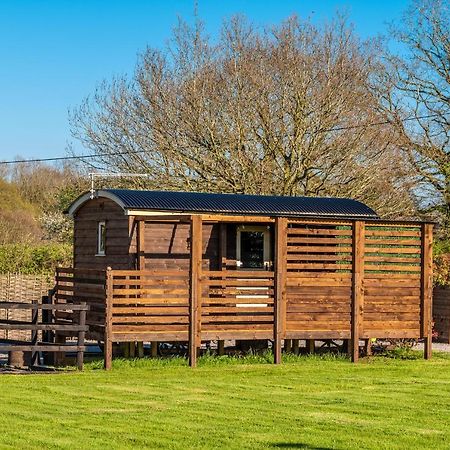 Hillside View Shepherds Hut - Ockeridge Rural Retreats Little Witley Eksteriør bilde