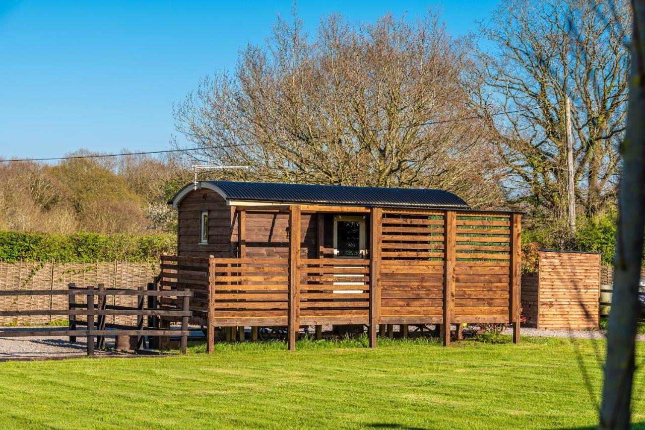 Hillside View Shepherds Hut - Ockeridge Rural Retreats Little Witley Eksteriør bilde